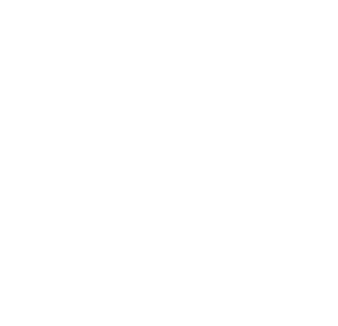 Michigan Developmental disabilities Institute